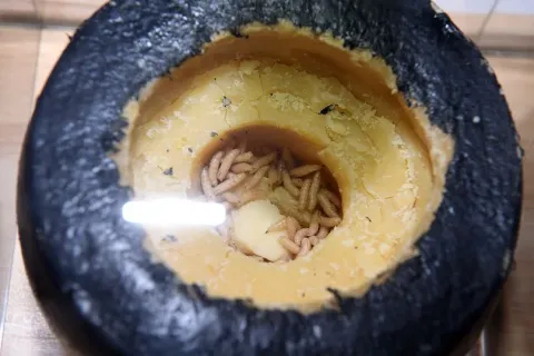 Casu marzu, azaz férgekkel bomlasztott sajt