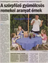 Isteni nyalánkságok készülnek szederből
